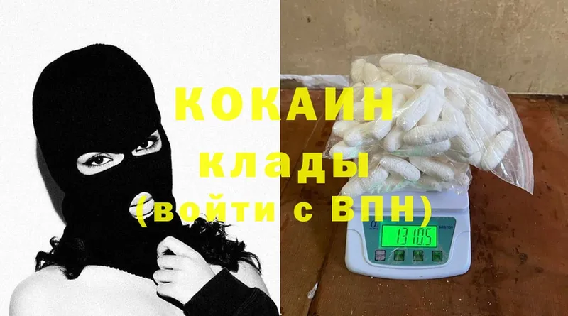 Cocaine Fish Scale  гидра ссылка  Елизово 